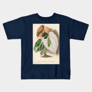 Variegated Anthurium crystallinum - Wiener illustrierte Garten-Zeitung - Botanical Illustration Kids T-Shirt